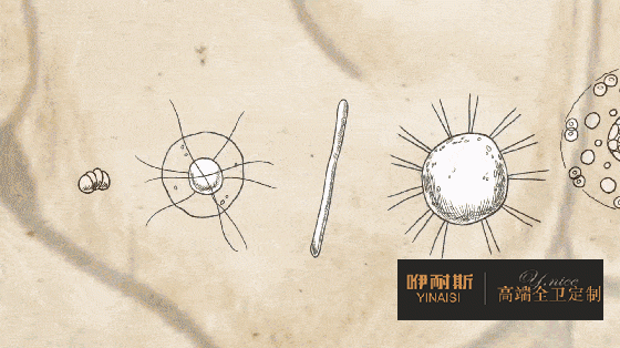 人的雙手上至少潛伏著 40 多萬細(xì)菌